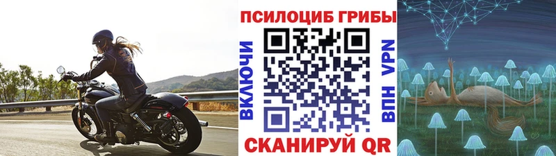 Псилоцибиновые грибы GOLDEN TEACHER Буй