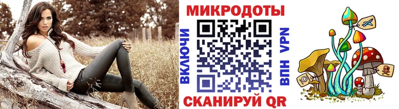 Псилоцибиновые грибы GOLDEN TEACHER Буй